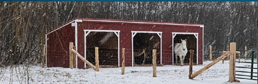 Old Hickory Animal Shelter – custom order from Old Hickory Buildings of Erin